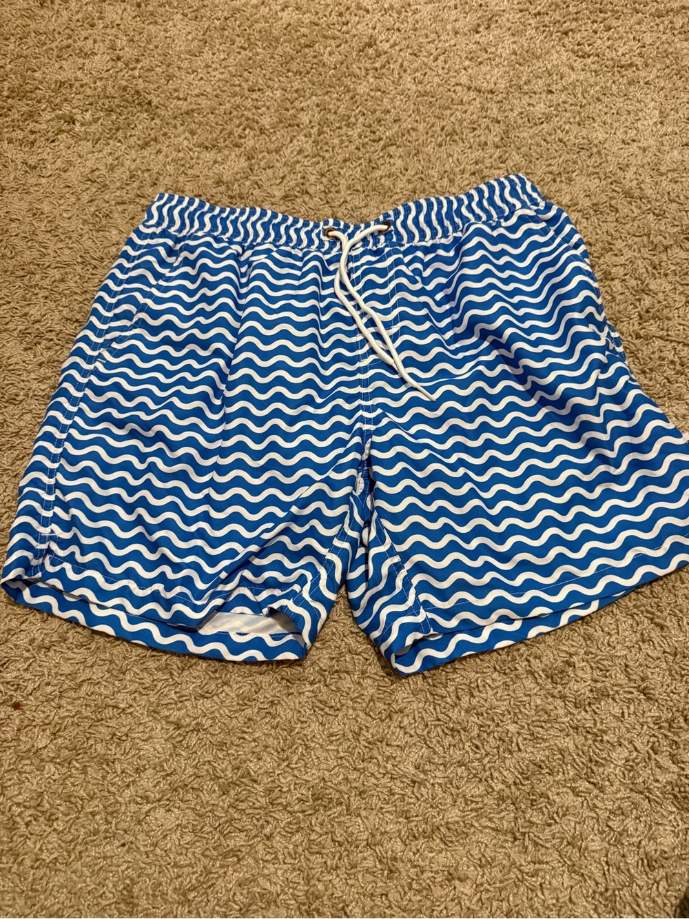 Bondi Beamers swim trunks